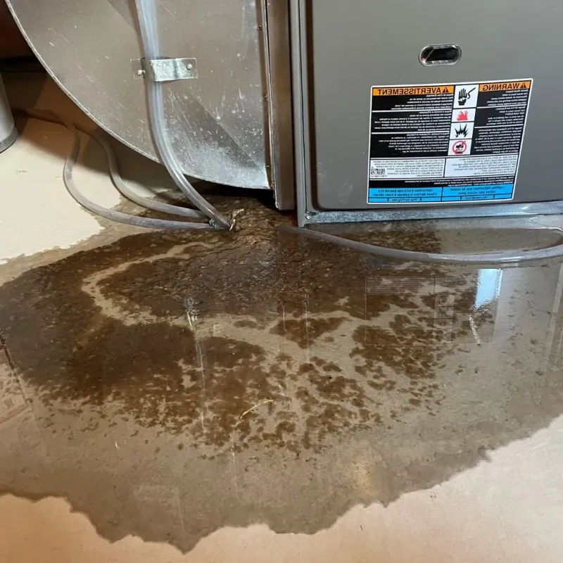 Pipe Burst and Leak Restoration in Converse County, WY