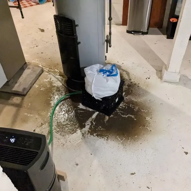 Sewage Backup Cleanup Service in Converse County, WY
